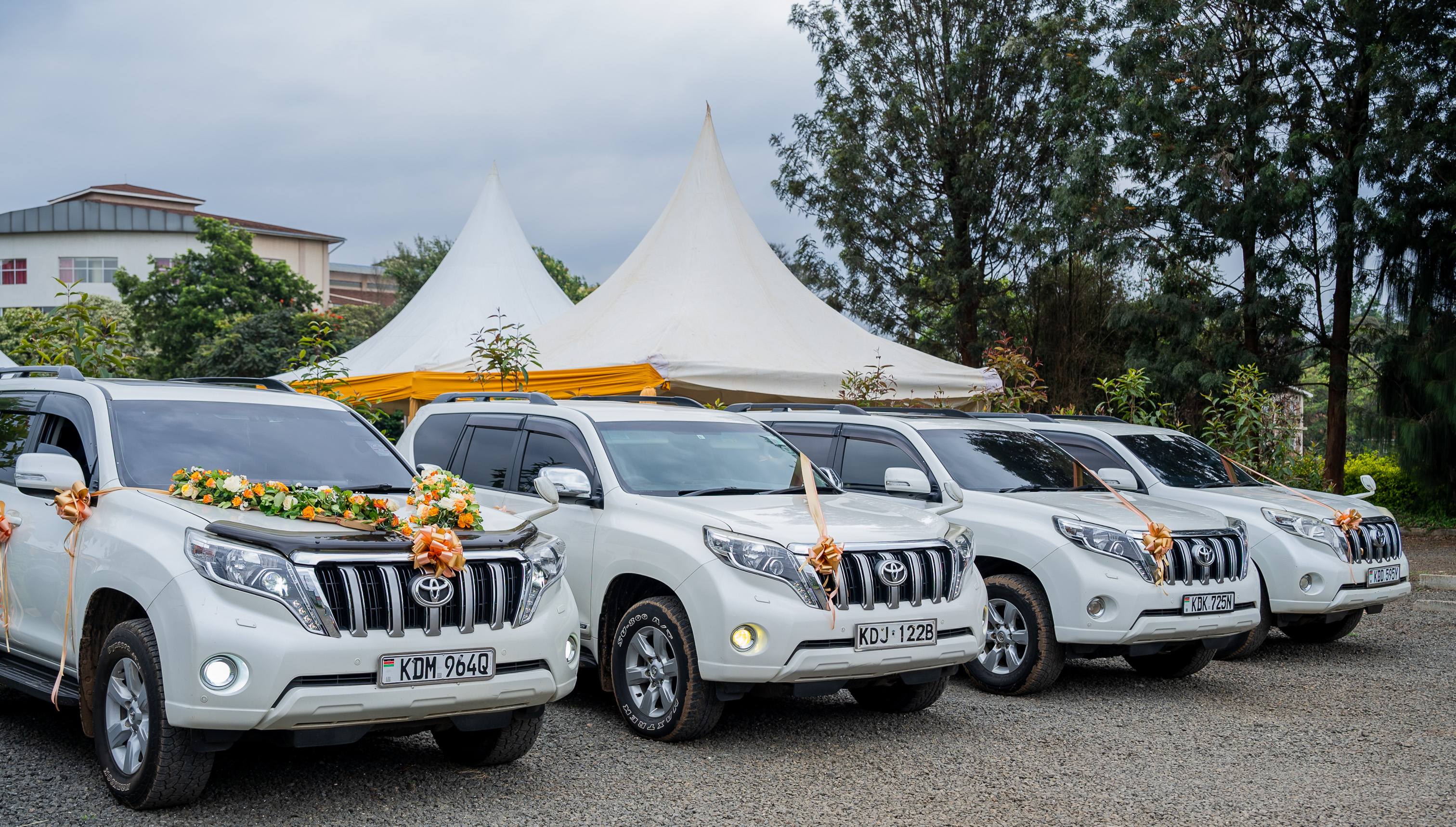 Prado wedding fleet, front view