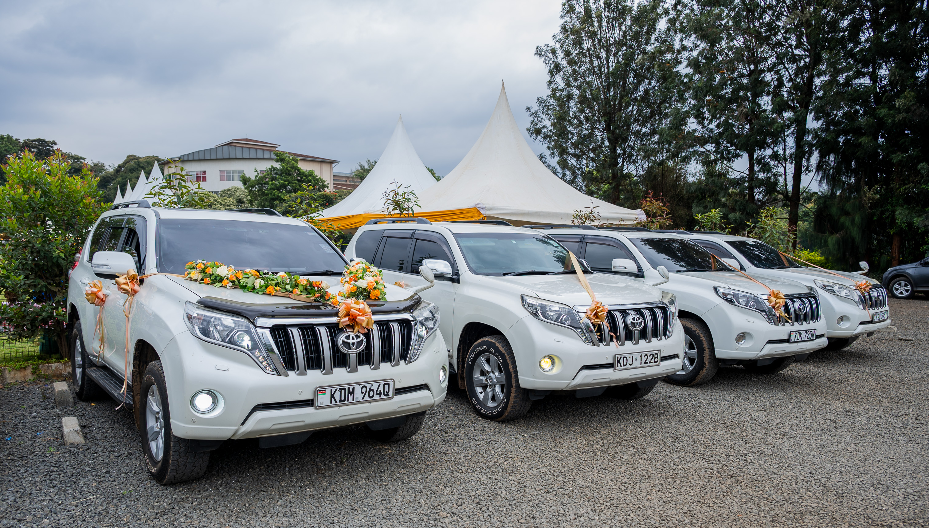 Prado wedding fleet, front view