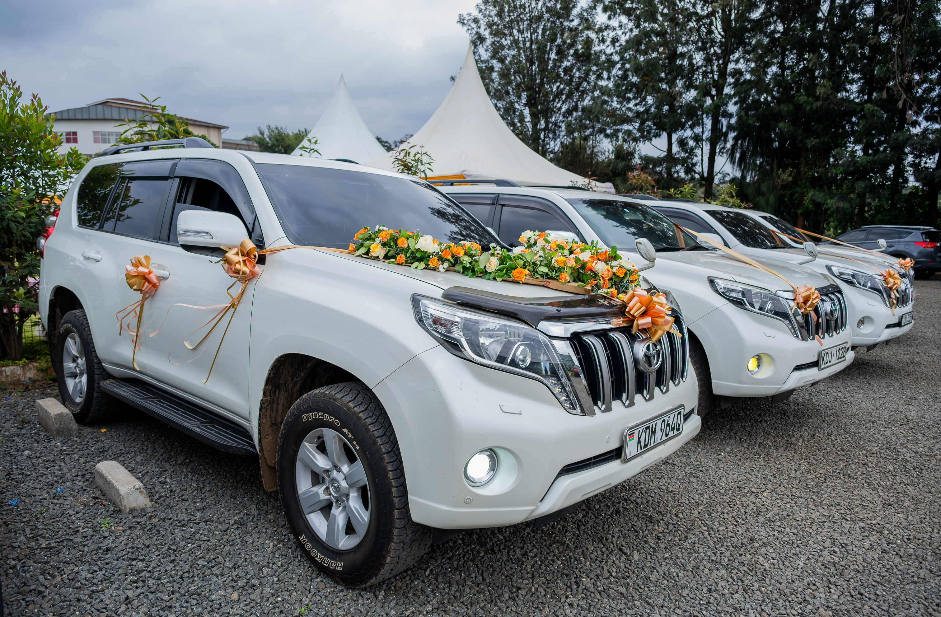 Prado wedding fleet, decorated for a wedding